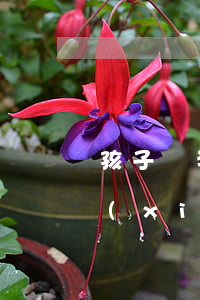 “孩子歸我，不要你養(yǎng)”這種離婚協(xié)議有效嗎？養(yǎng)不起能反悔嗎？